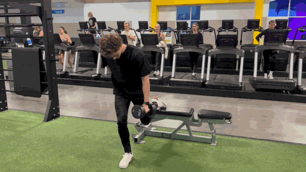 Dumbbell Bulgarian Split Squat