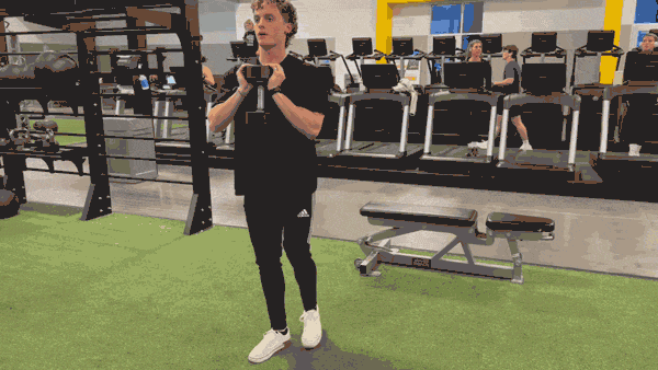 Dumbbell Reverse Lunge w Twist