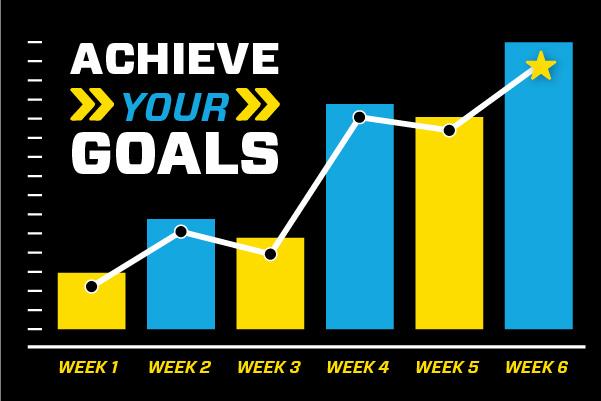 body building progress chart