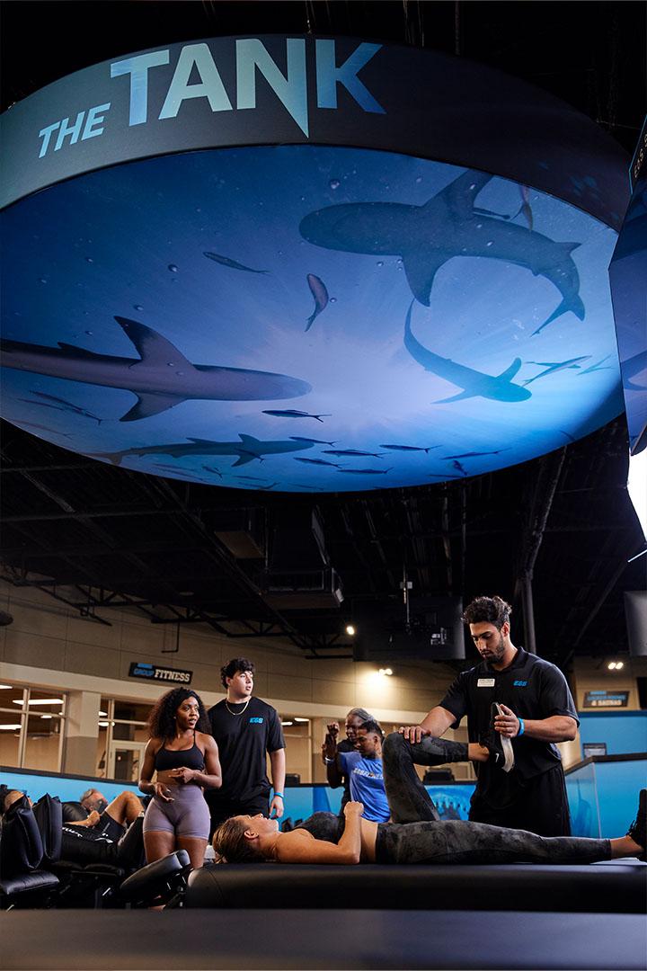 a group of eos members getting stretched out on tables by staff in a shark themed room