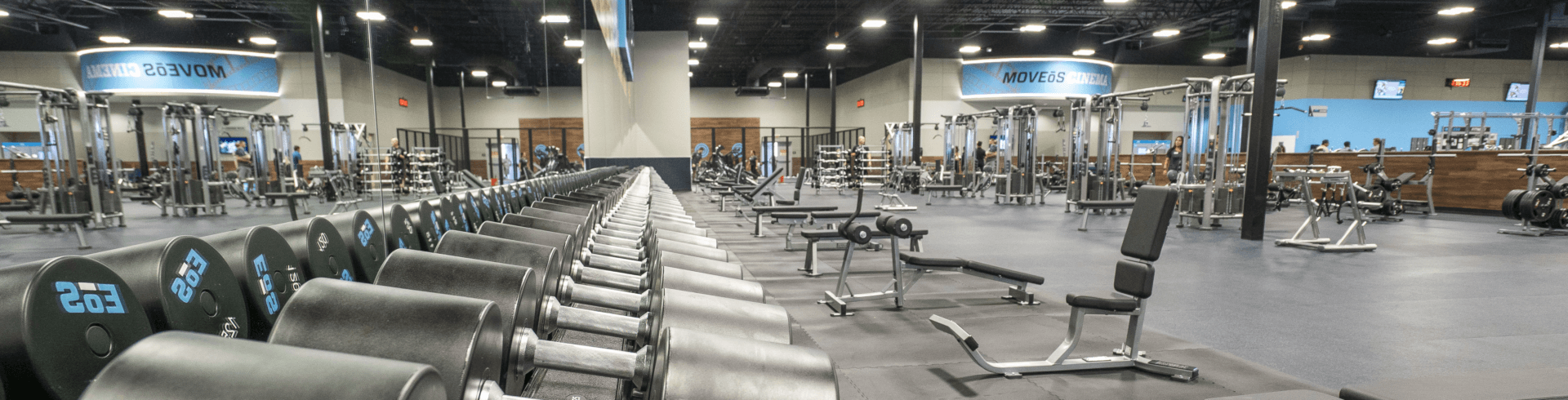 interior shot of a modern eos branded gym