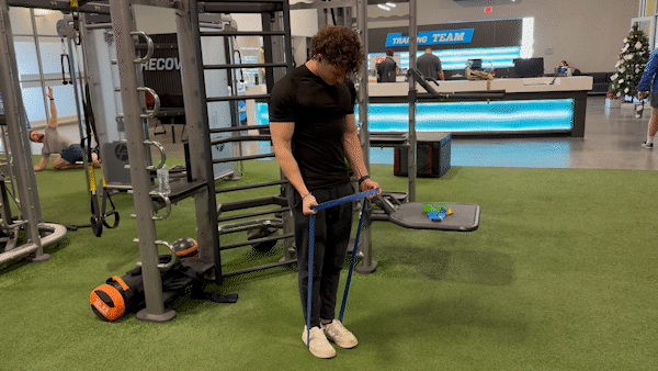 Bicep Curls with Resistance Bands