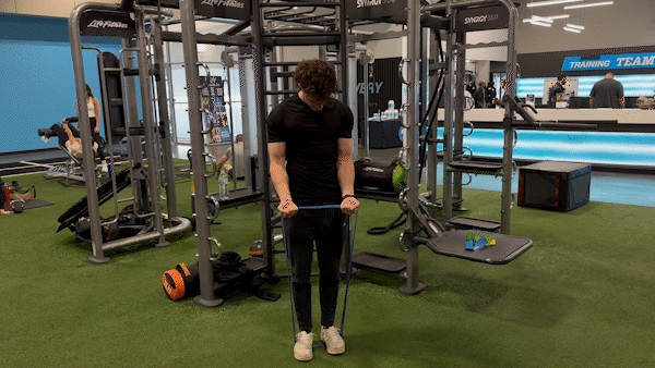 Hammer Curl with Resistance Bands