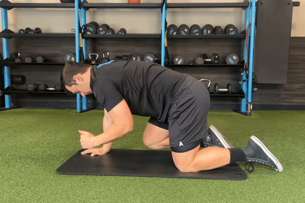 bird dog lift on eos turf