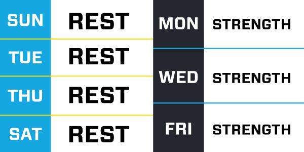 schedule of full body routine