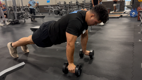 dumbell triceps pushup