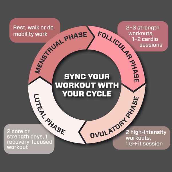Workout Routine Cycle Cycle Syncing Workouts Guide | EōS Fitness