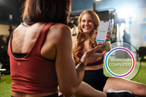 eos gym members showing their stats from gainiac