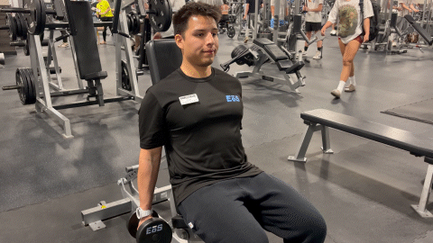 eos fitness member doing dumbbell hammer curls