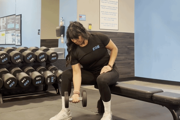EōS Fitness member performing concentration curls in the gym.