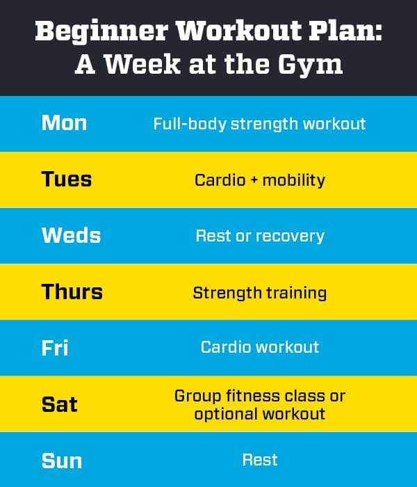 beginner workout plan: a week at the gym